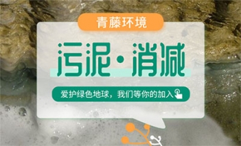 環(huán)境發(fā)展與污泥處理減量化的關(guān)系