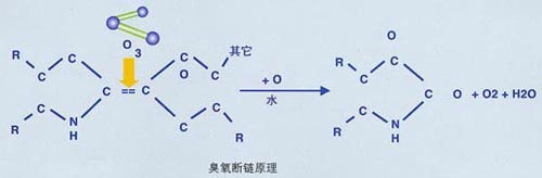 臭氧屬于什么